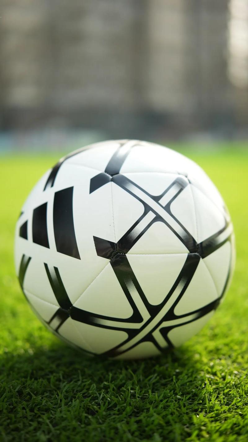 球迷观赛追踪场景